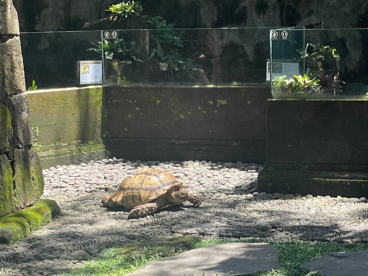 Bali Reptile Park
