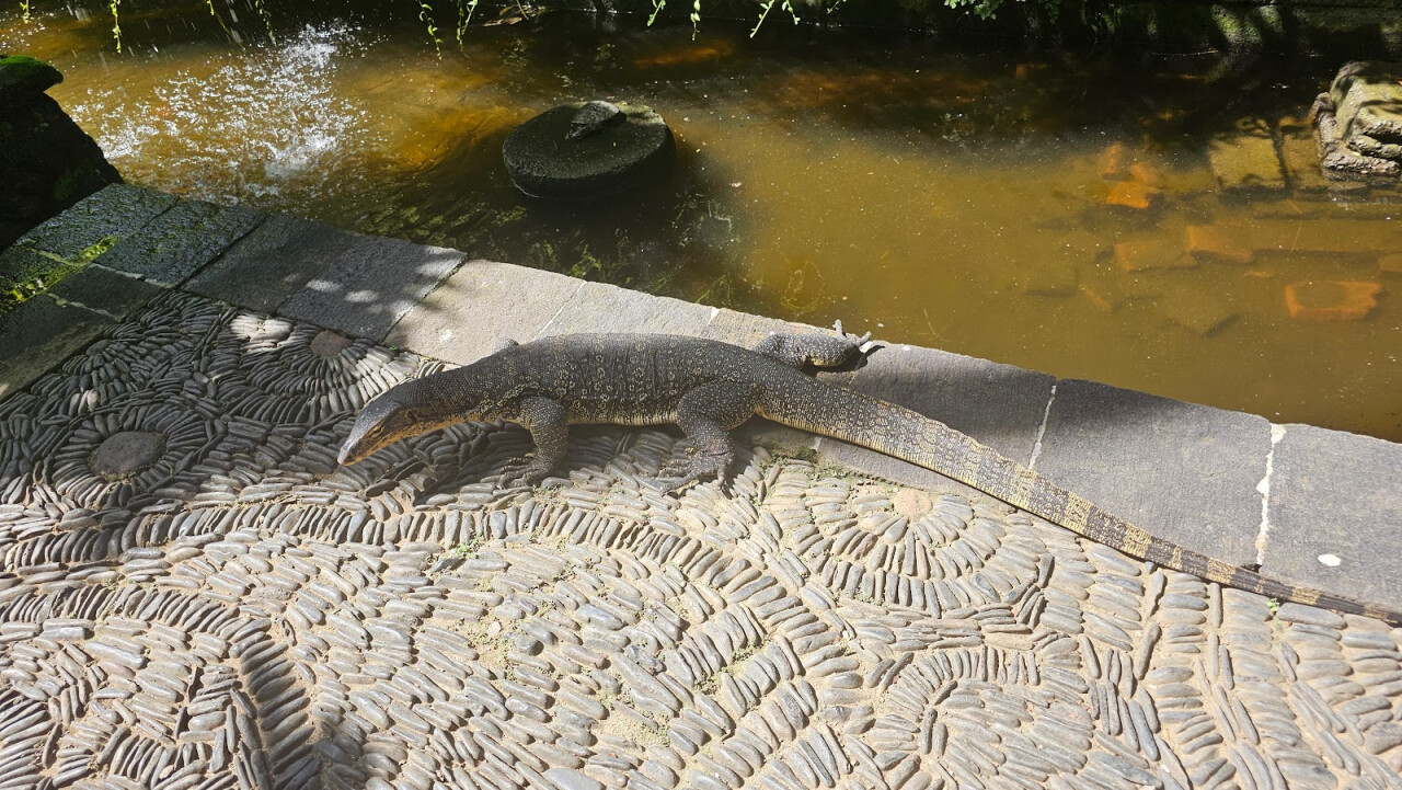 Bali Reptile Park