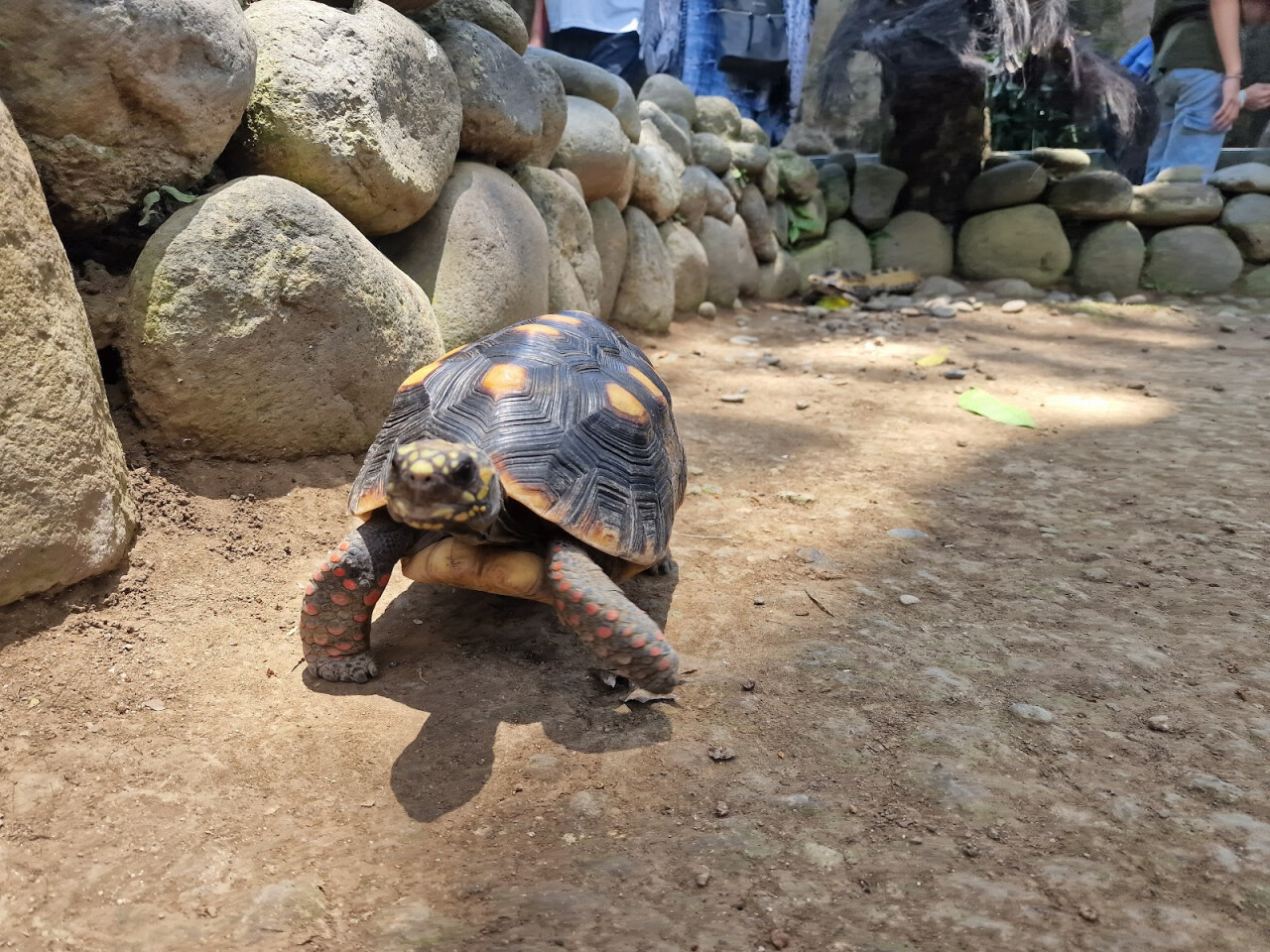 Bali Reptile Park