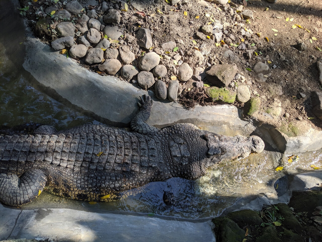 Bali Reptile Park