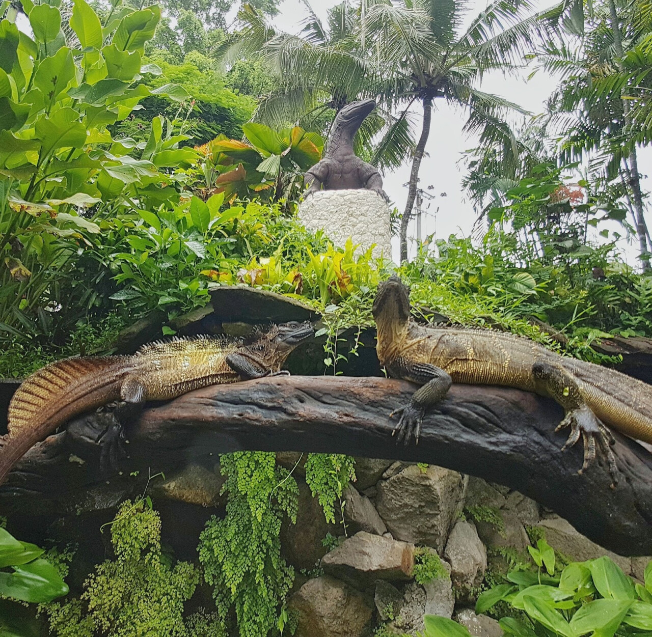 Bali Reptile Park