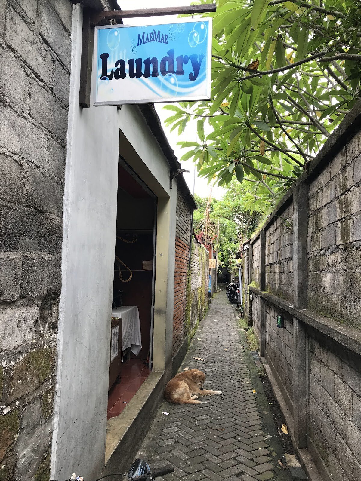 세탁소MaeMae Laundry