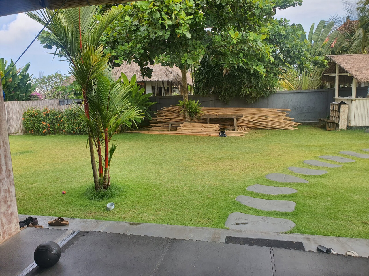 The Cashew Tree