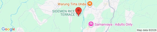 SIDEMEN RICE TERRACE