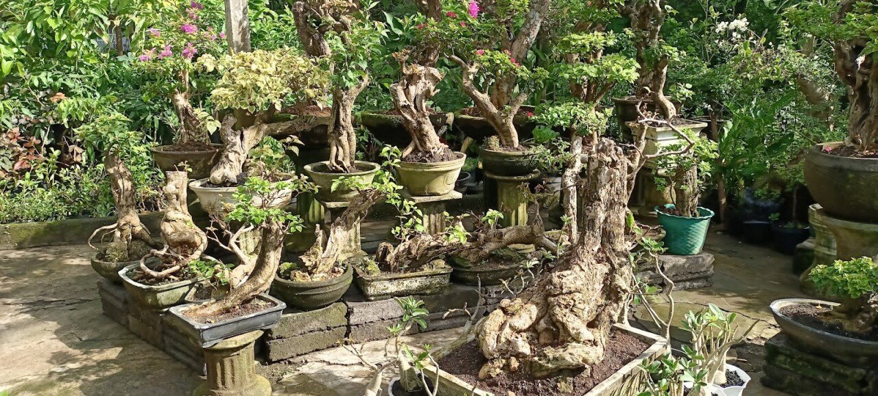 Bukit Berbunga - Garden Shop - Tanaman Hias - Landscape - Pupuk