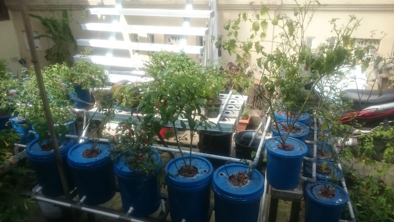 Bali Gardencenter