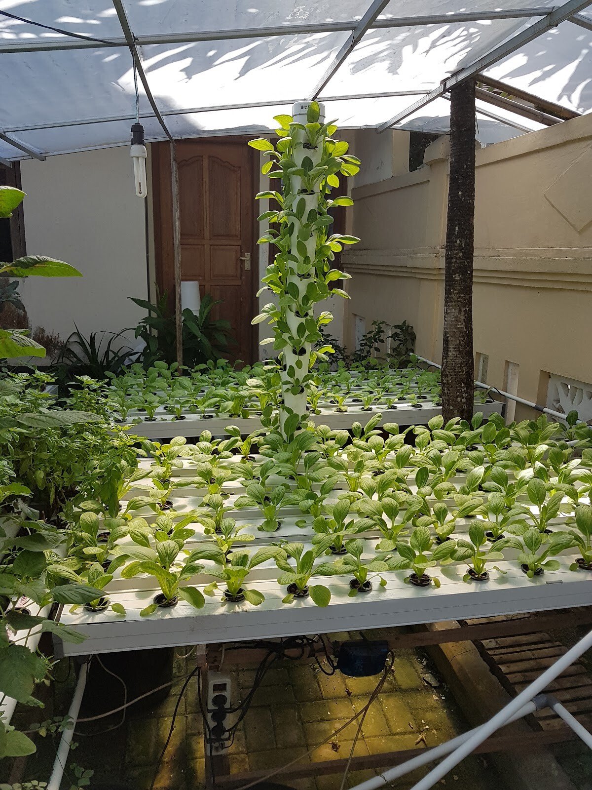 Bali Gardencenter