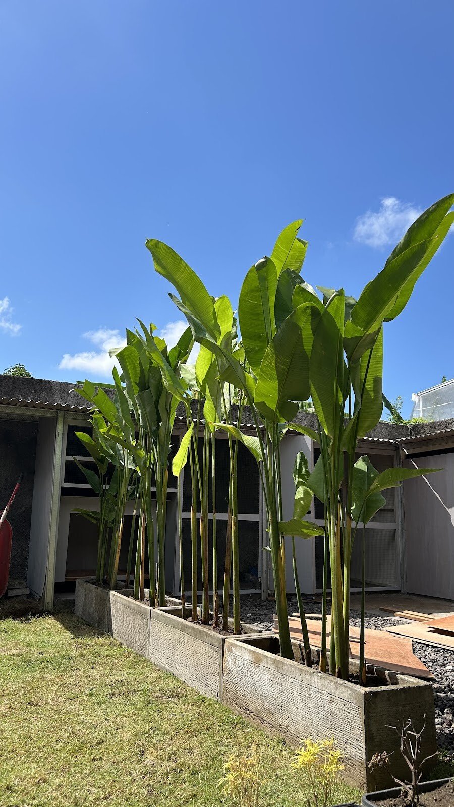 Pondok Tanaman