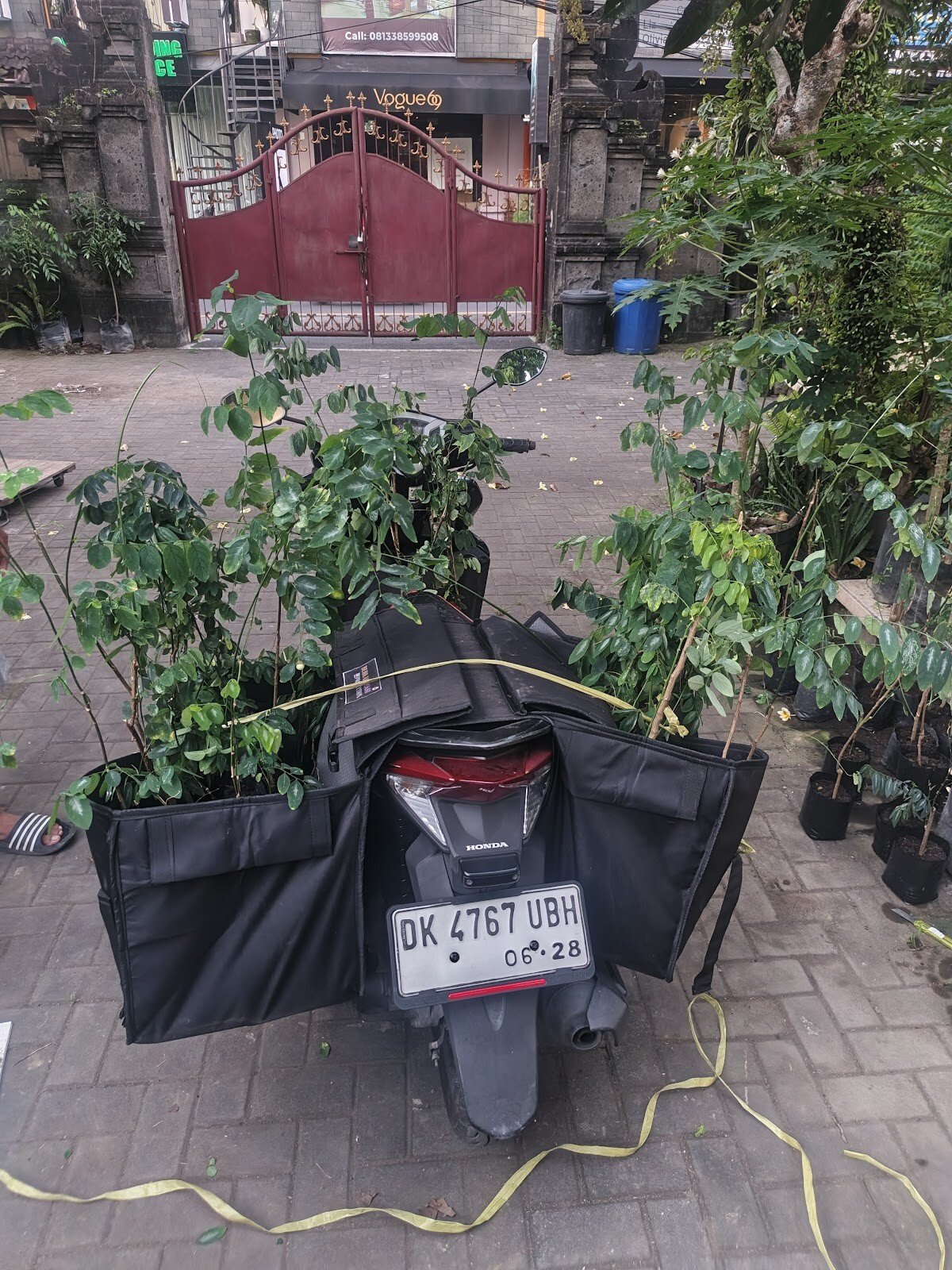 Pembibitan Buah Sayur
