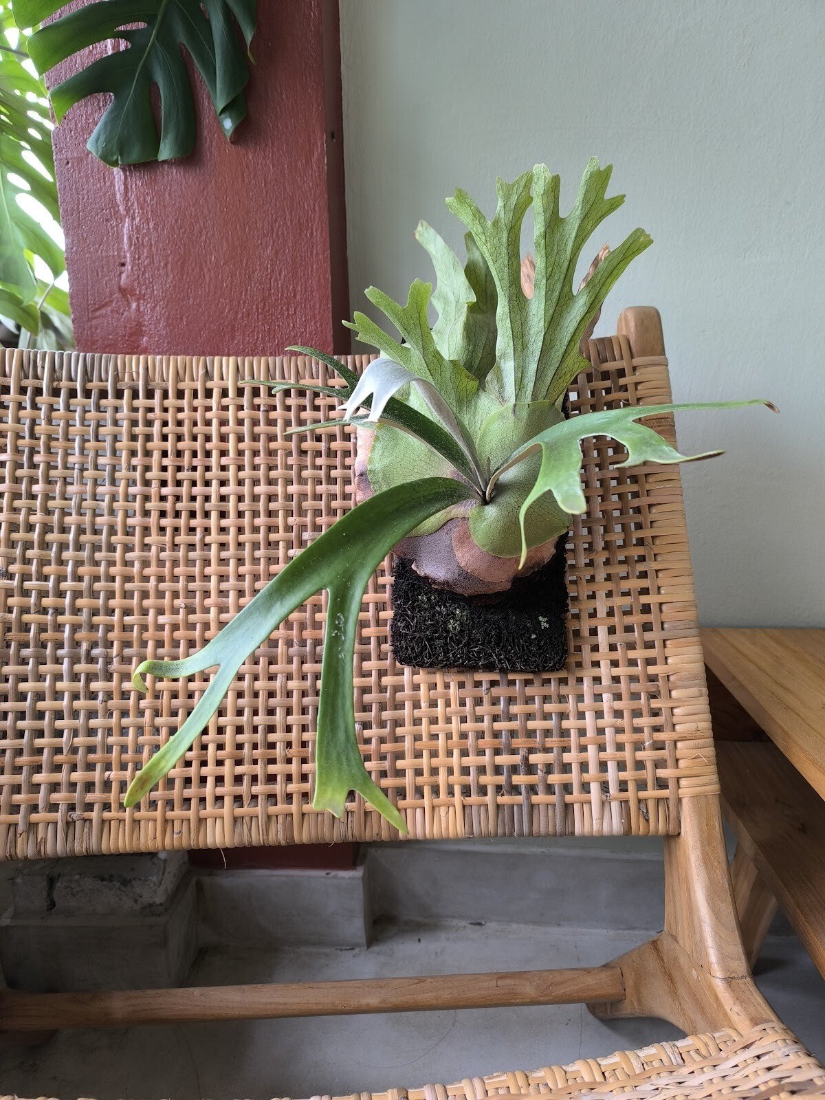 Komposbali & Nandana Guest House Ubud
