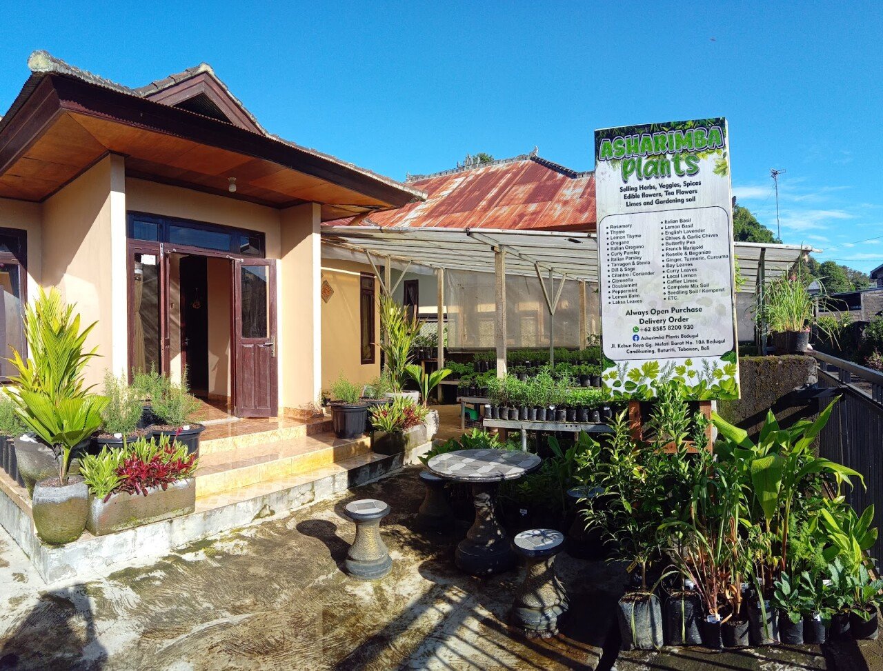 Asharimba Plants