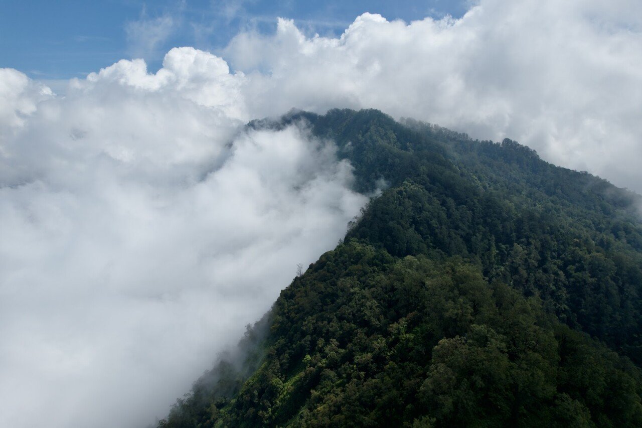 Mount Catur Trail Start