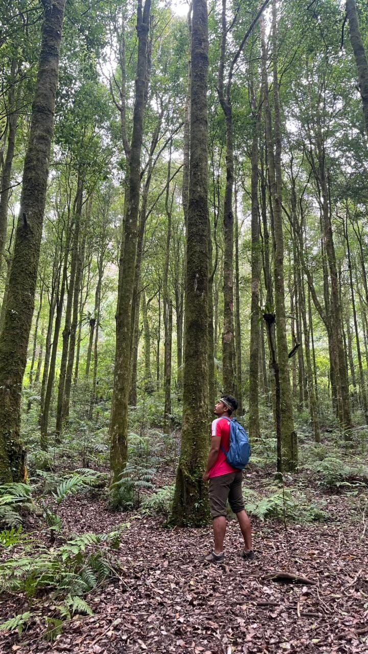Gunung Pohen