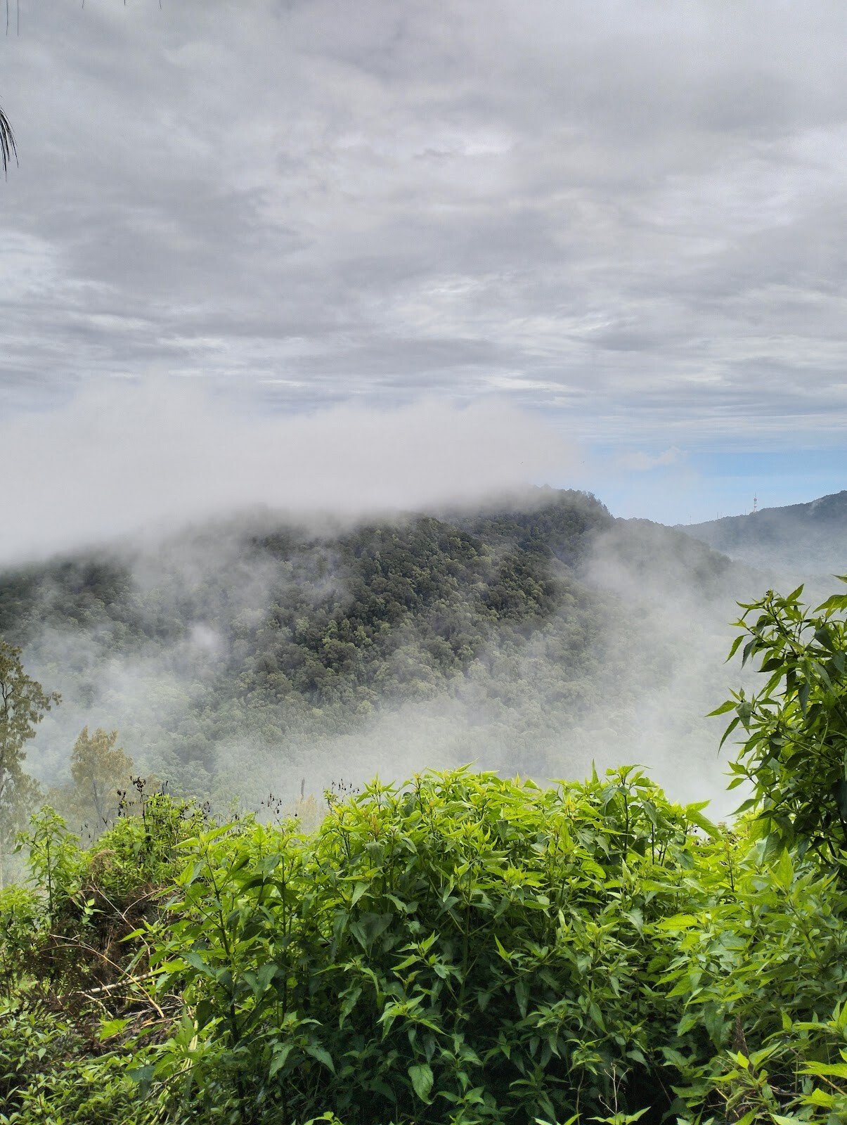 Gunung Pohen