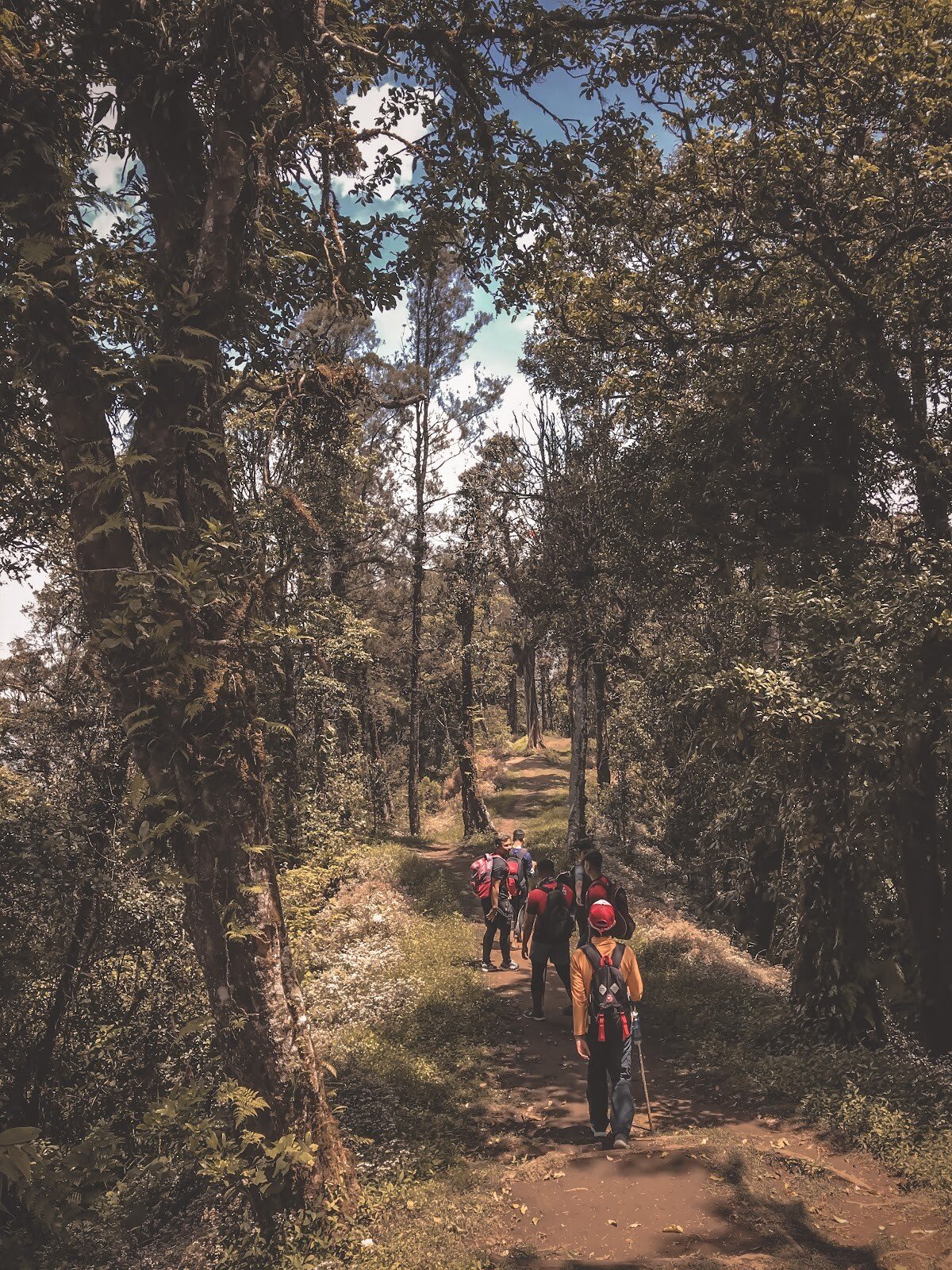Gunung Tapak