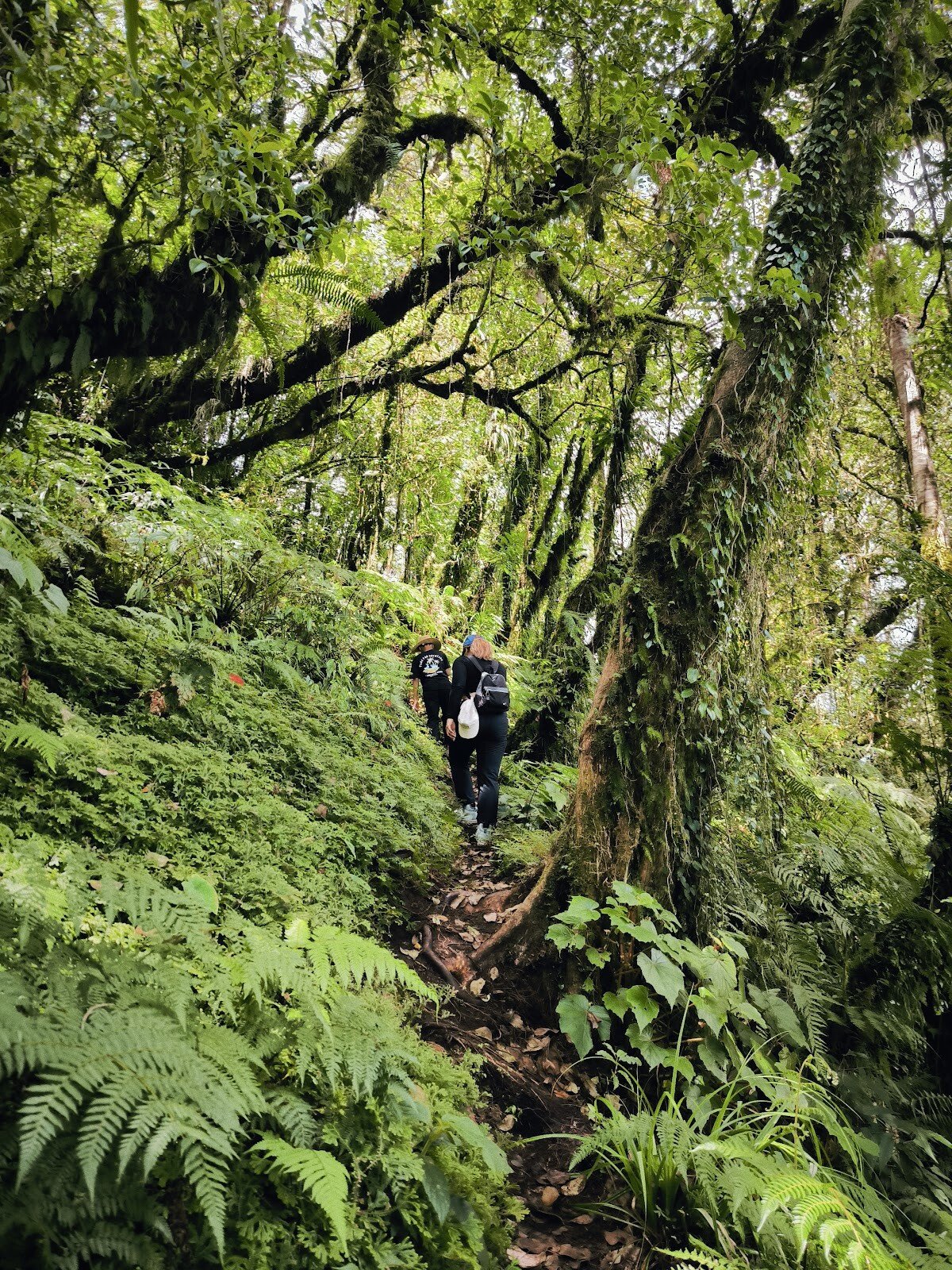 Gunung Tapak