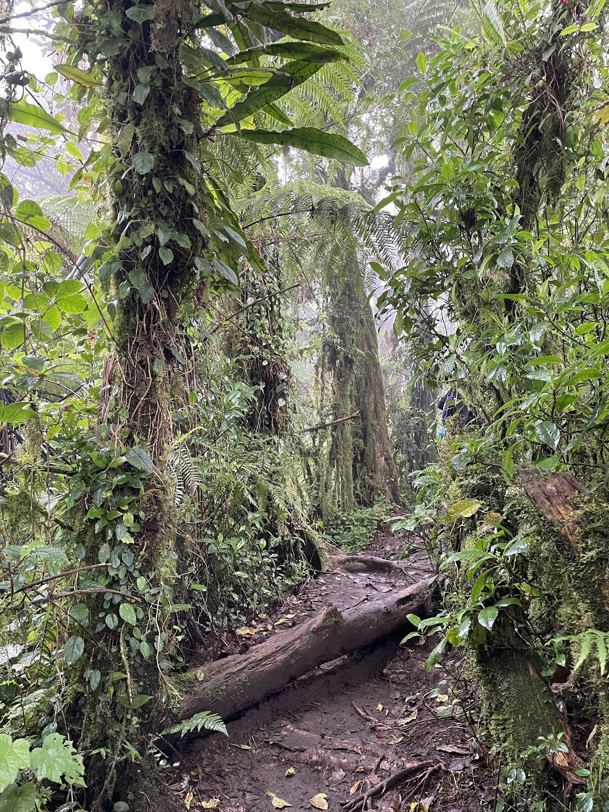 Gunung Tapak