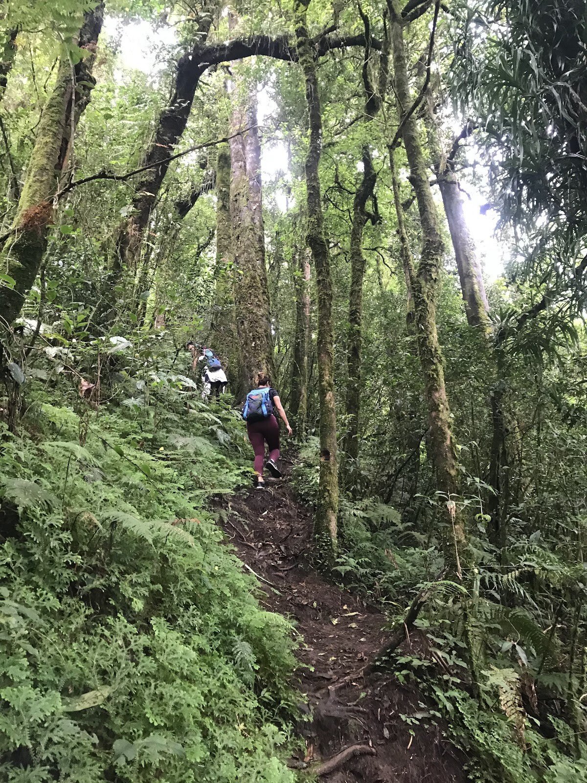Gunung Lesung