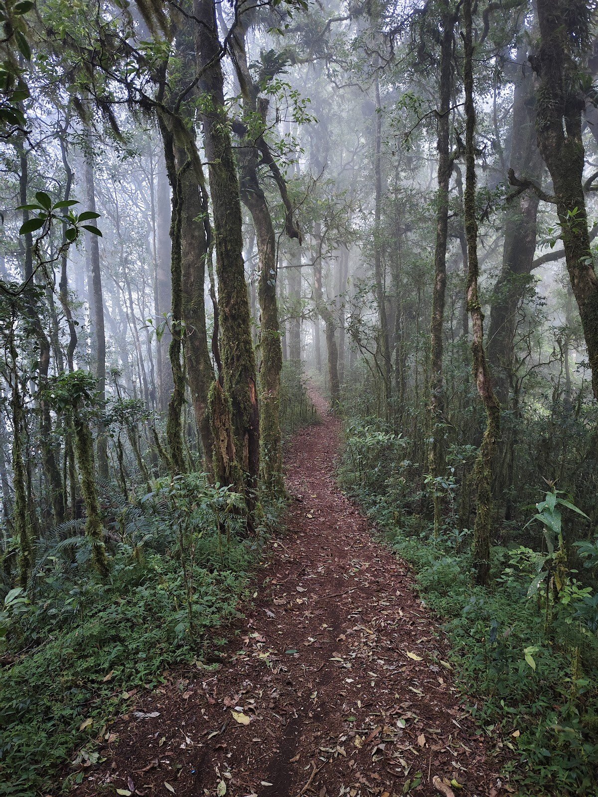 Gunung Lesung