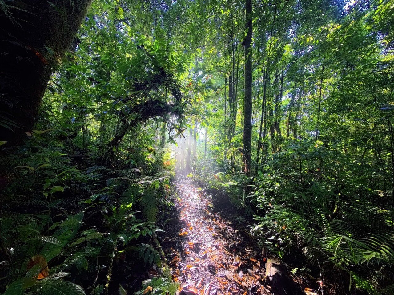 Gunung Adeng