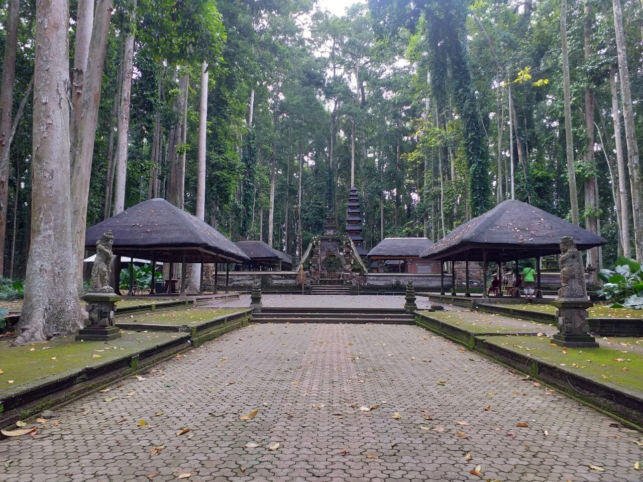 Парк Sangeh Monkey Forest