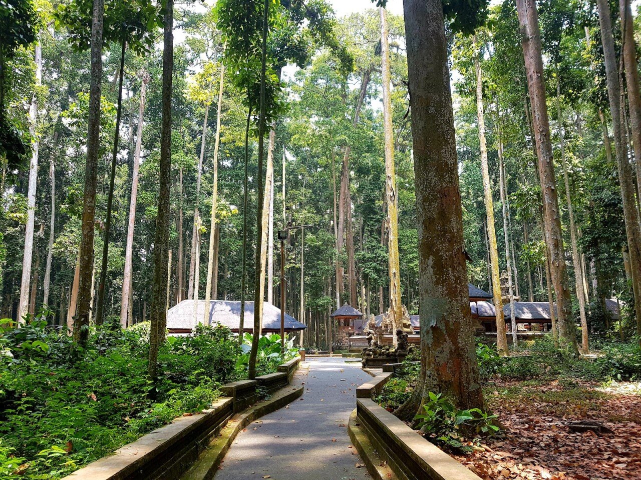 Парк Sangeh Monkey Forest