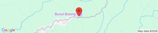 Bunut Bolong