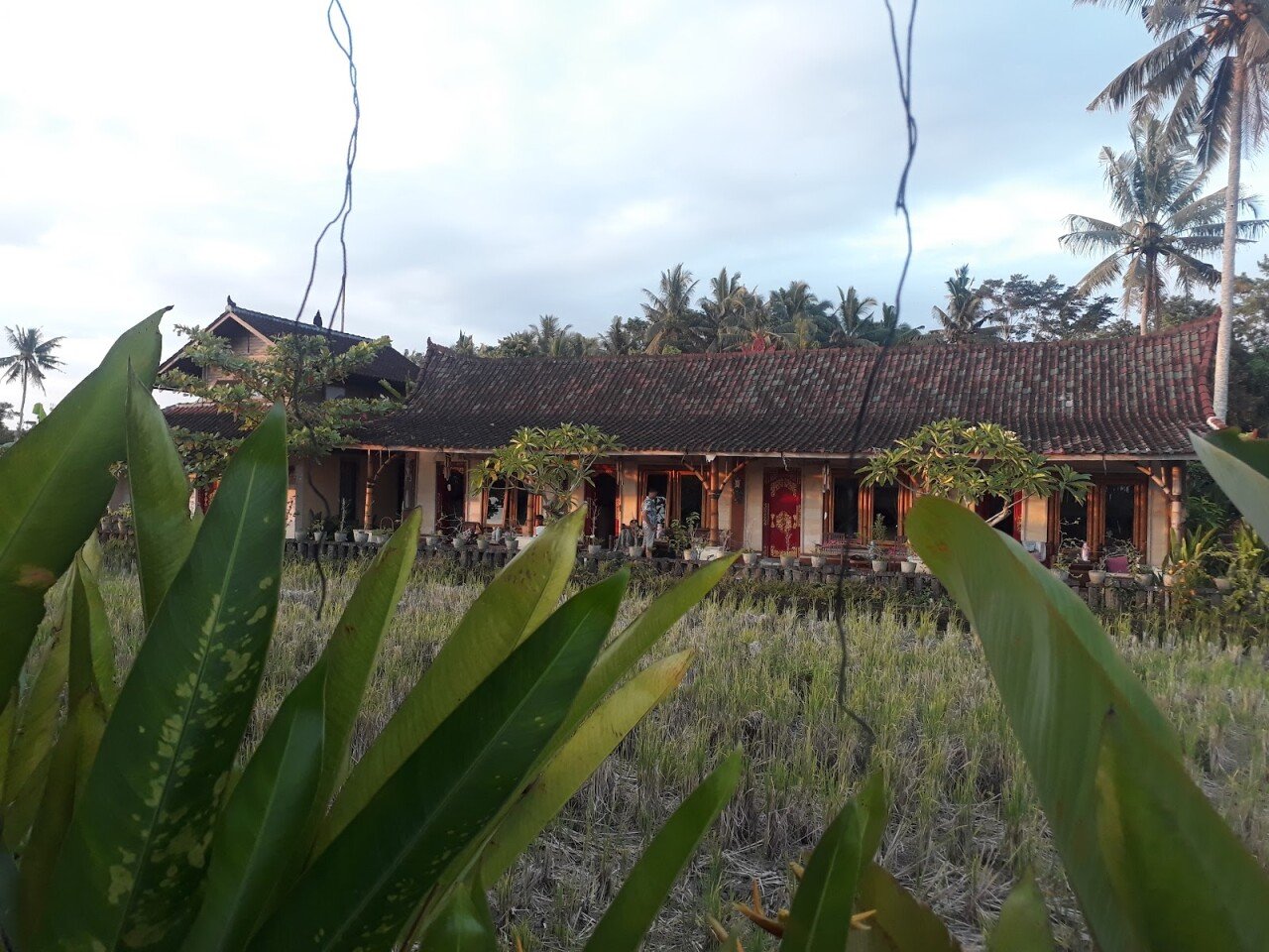 WS Art Studio Balinese Handicrafts