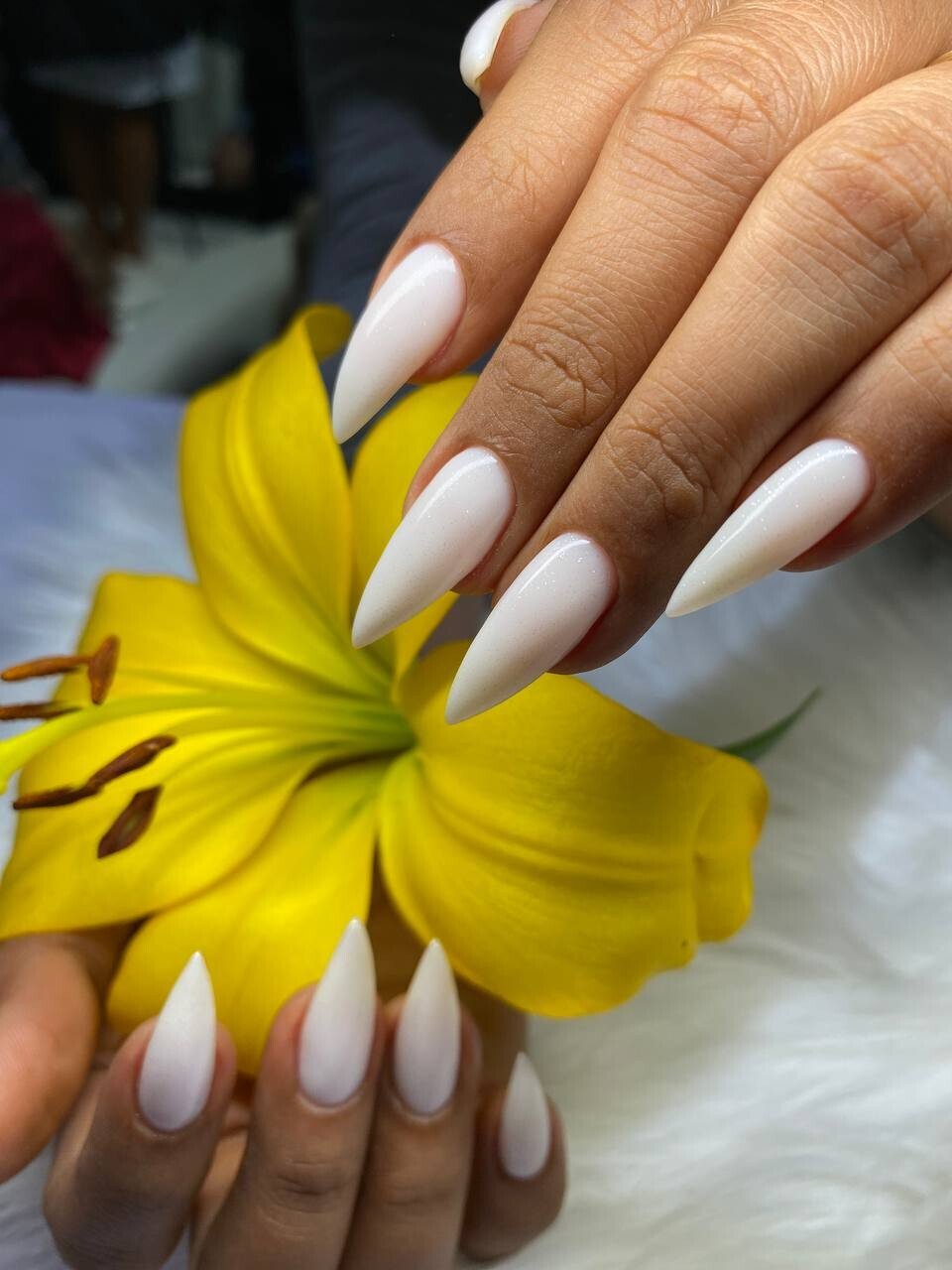 Studio 54 Beauty Salon Uluwatu