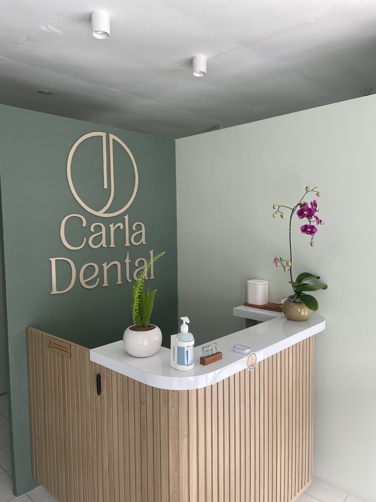 Ubud dentist - Carla Dental