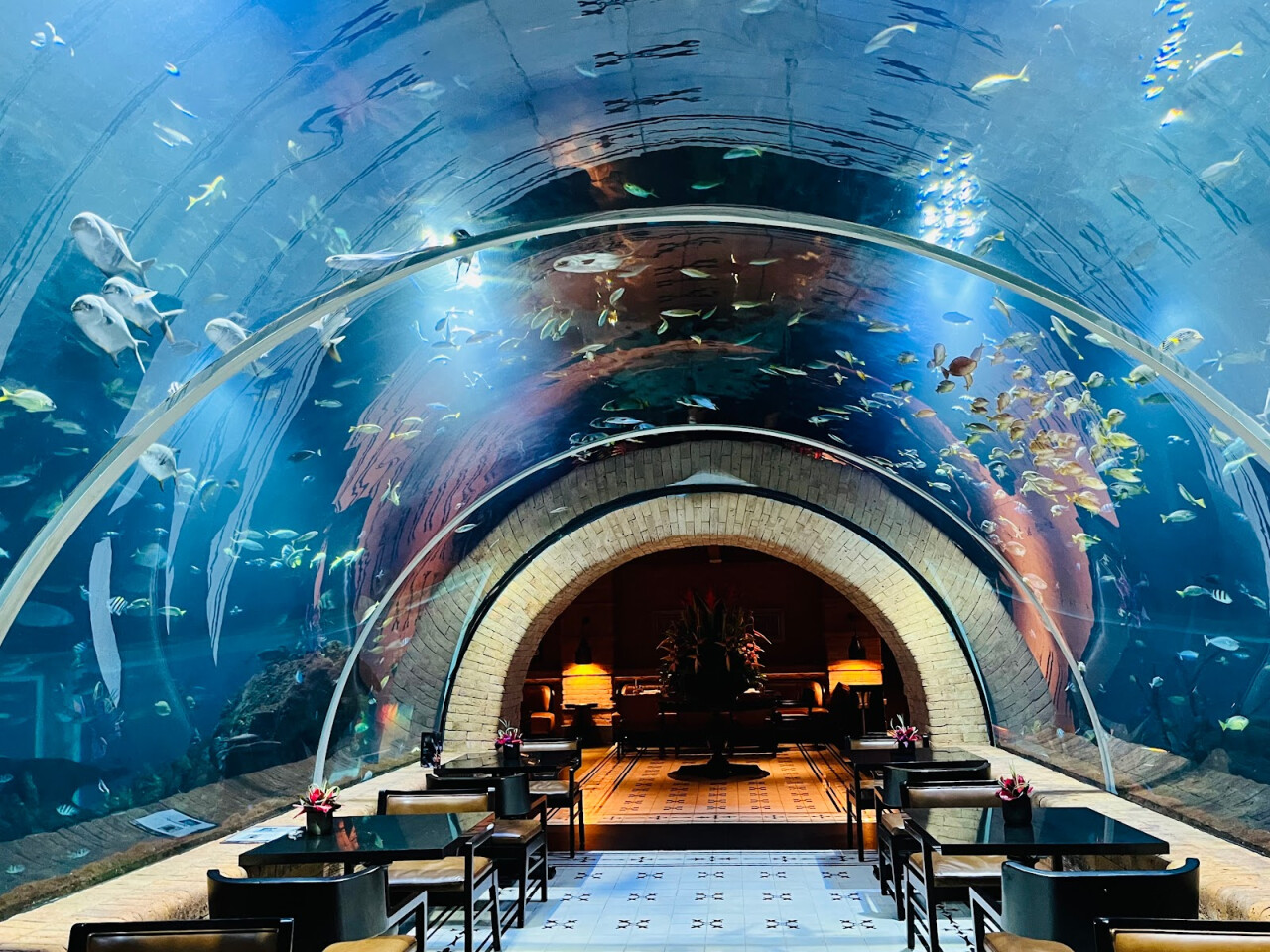 Koral: Bali’s First Aquarium Restaurant