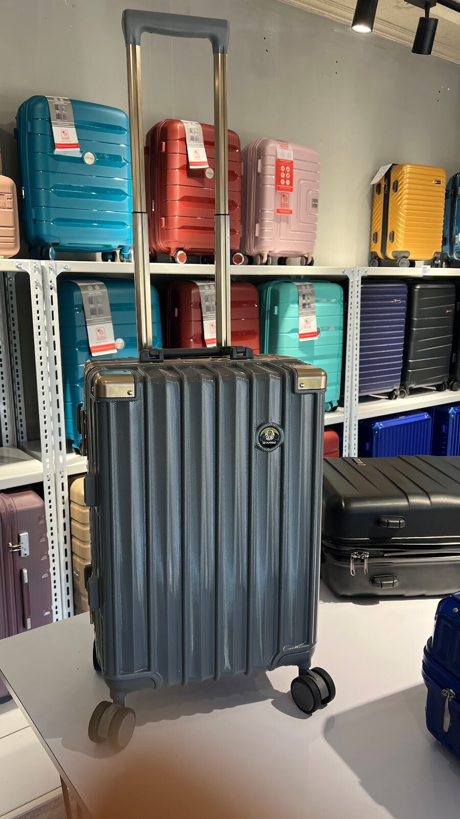 Zip-Up Bali Suitcase Store