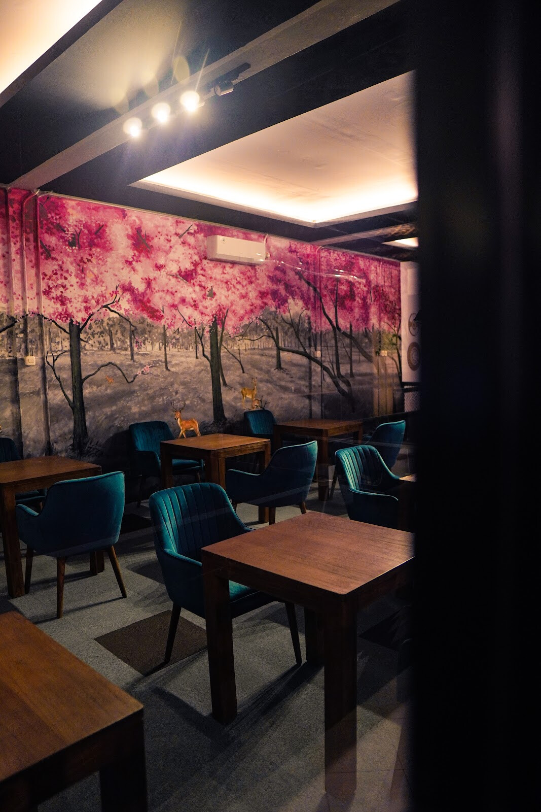 MediaFUN — Karaoke/Cinema Rooms