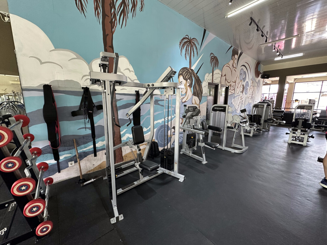 Muscle Beach Club
