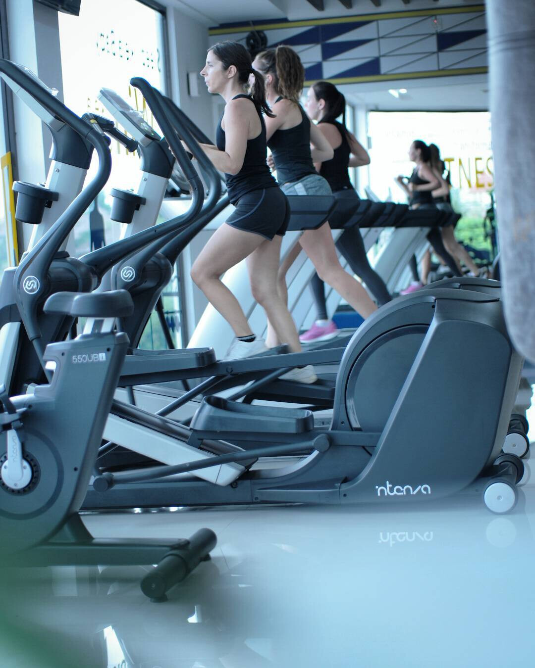 Avenue Fitness