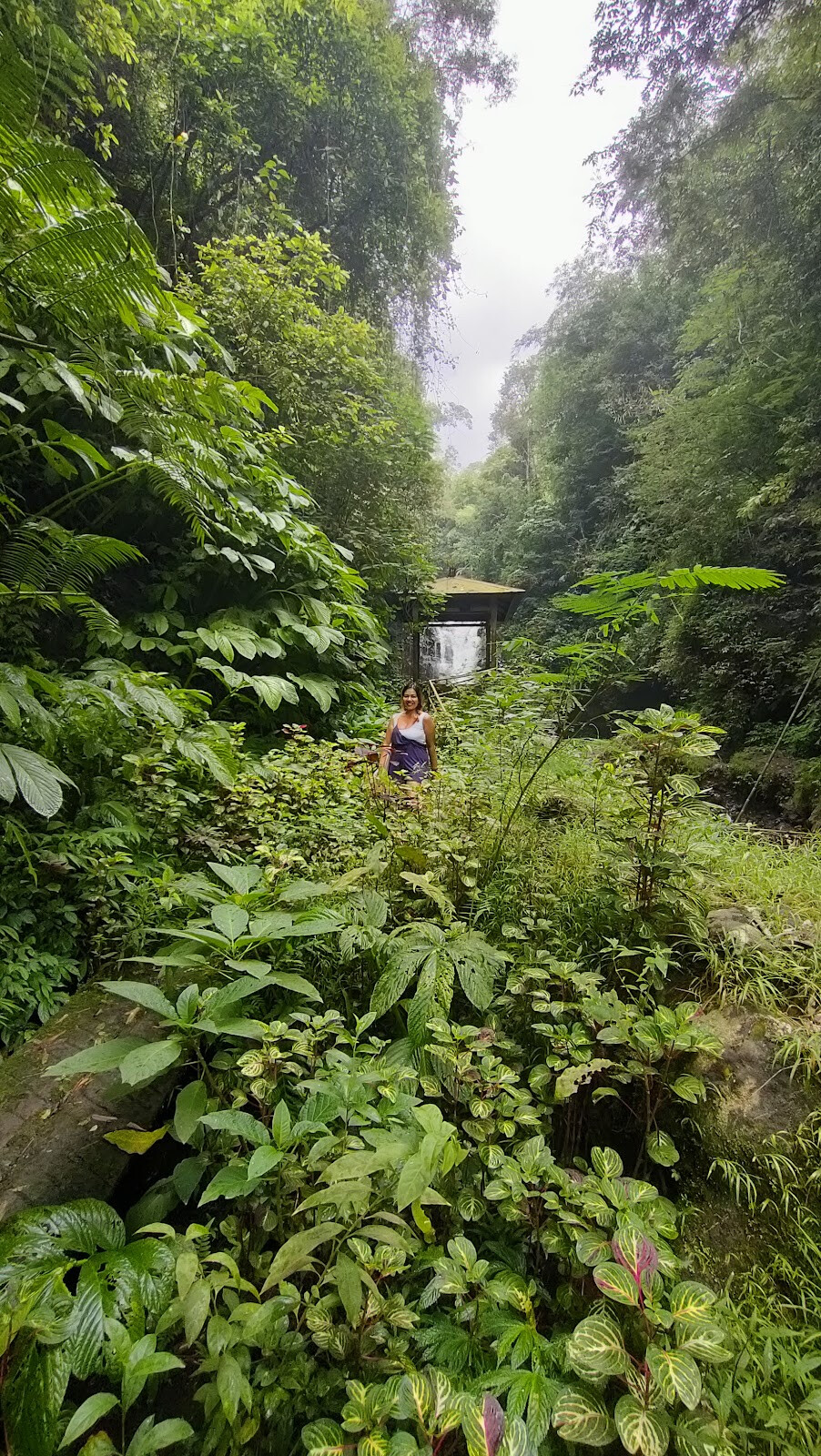 Air Terjun Bertingkat