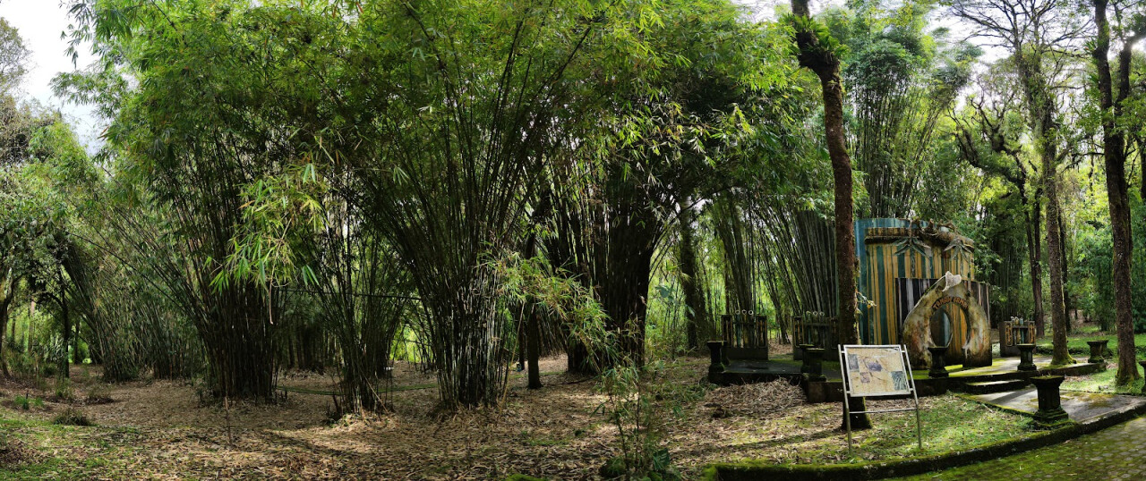 Taman Bambu