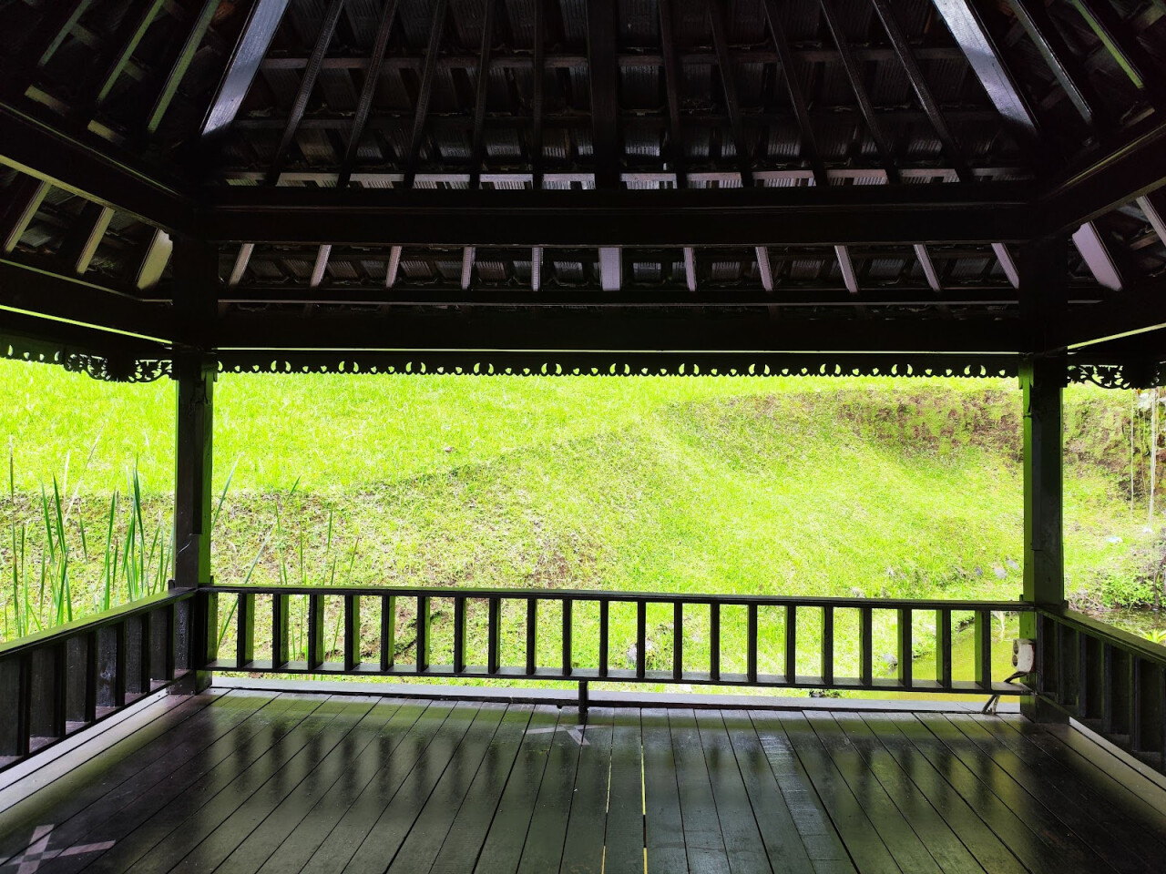 Aquatic garden