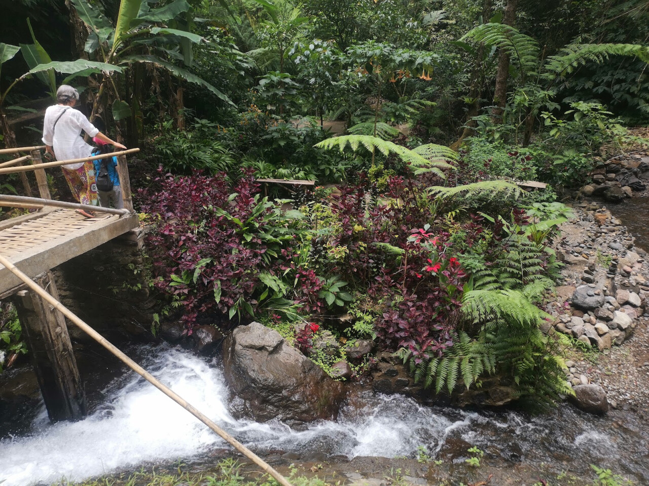 Red Coral Munduk Waterfall