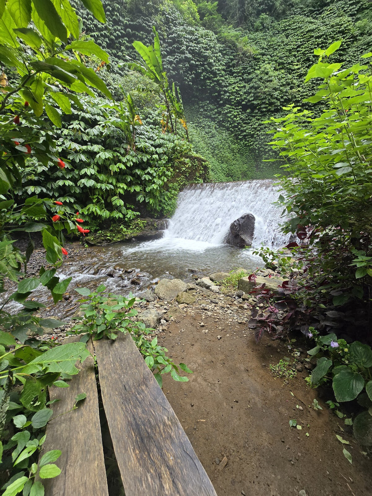 Red Coral Munduk Waterfall