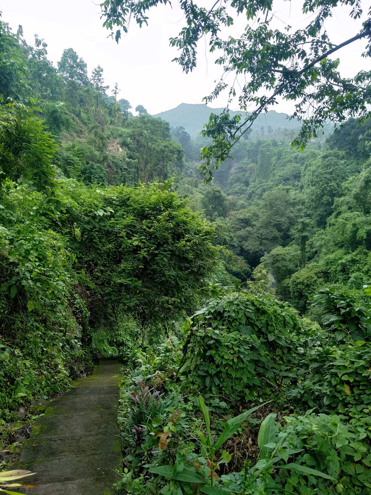 Wisata lesung kembar waterfall