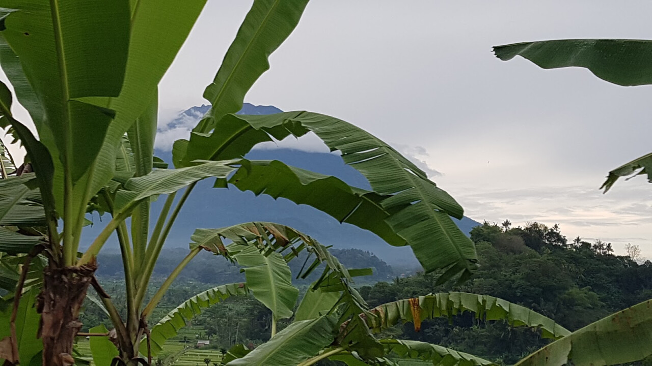Bukit Cinta