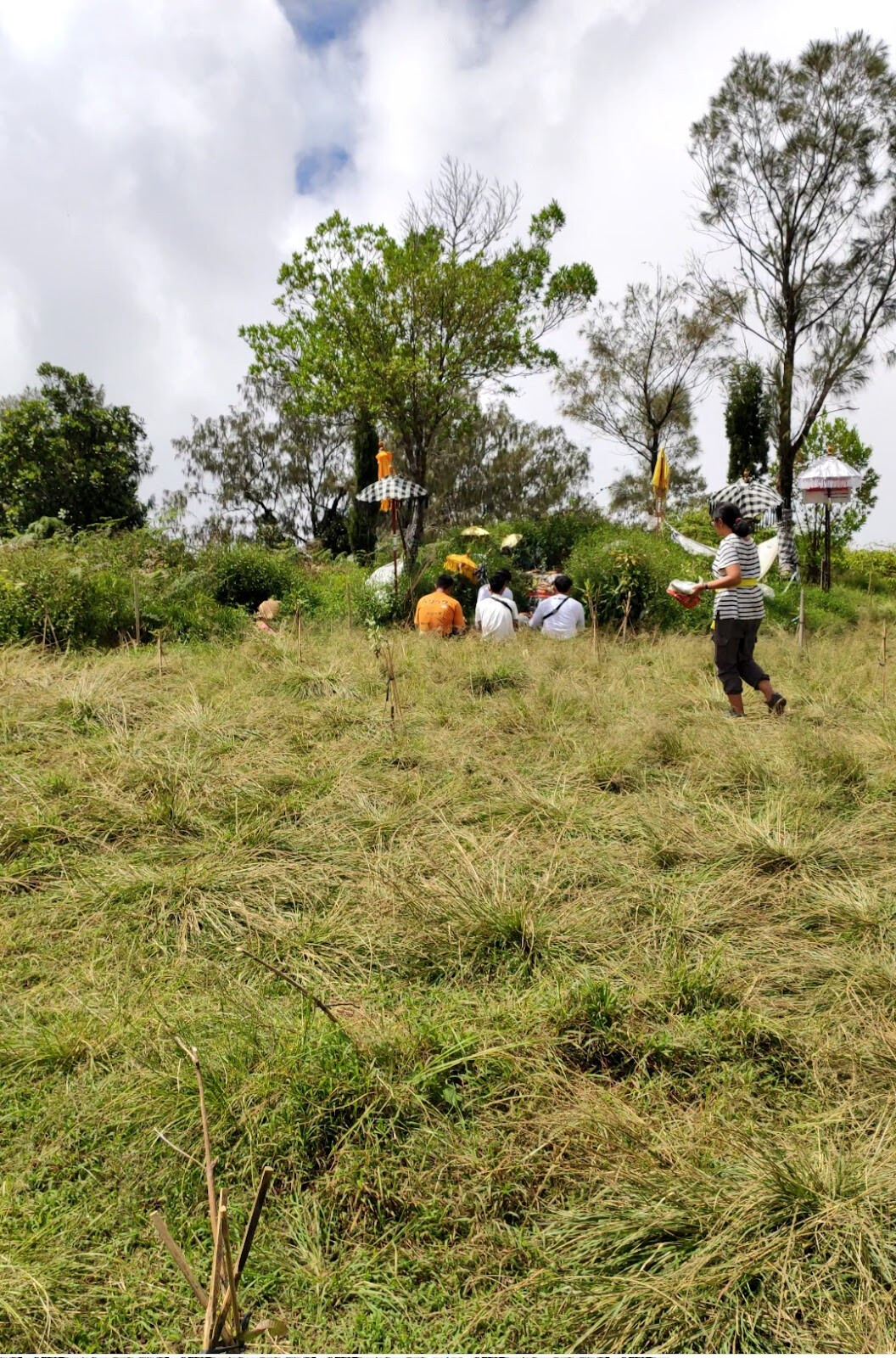 Gunung Batukaru (Mount Batukaru)