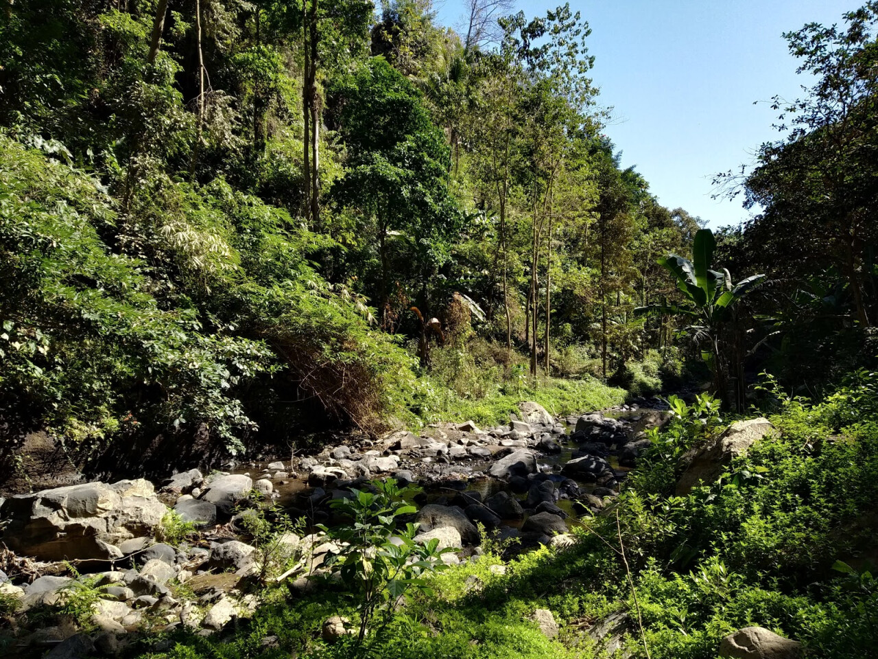 Air Terjun Padangbulia