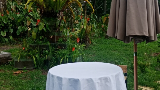 magoes warung bedugul
