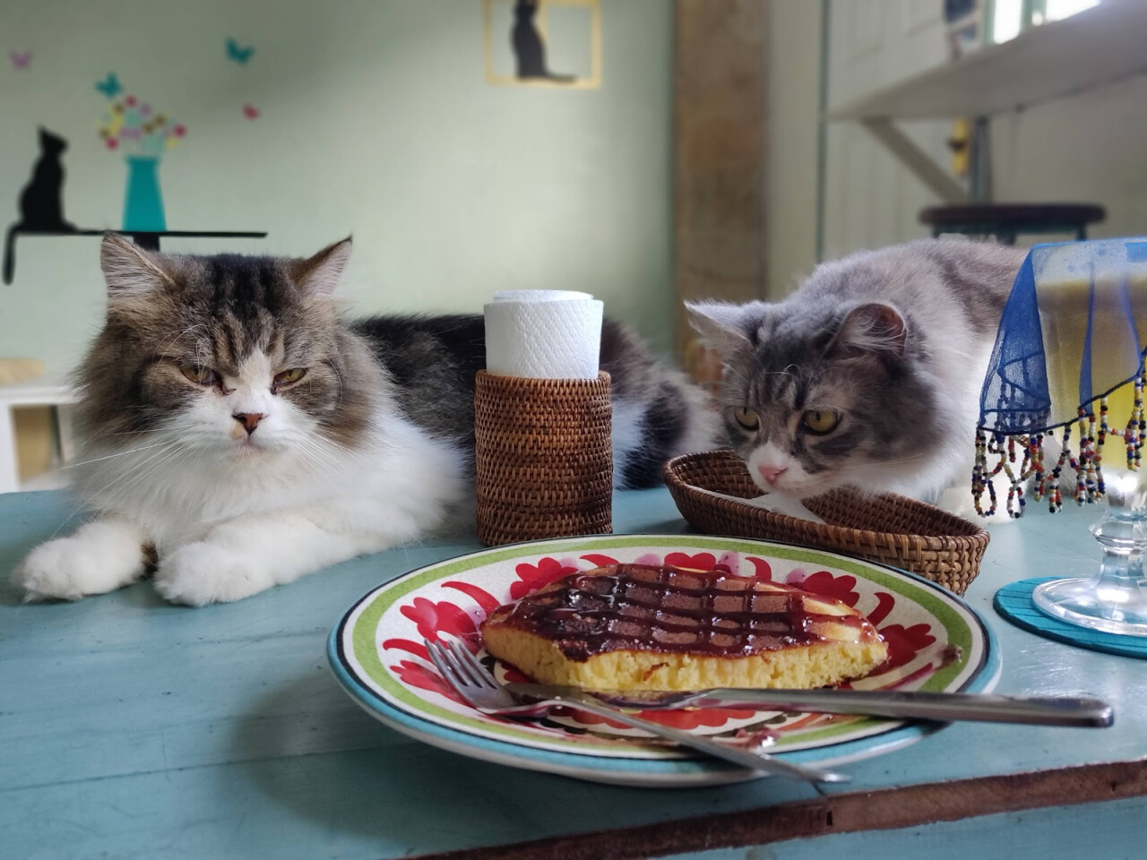 Cat Cafe Ubud