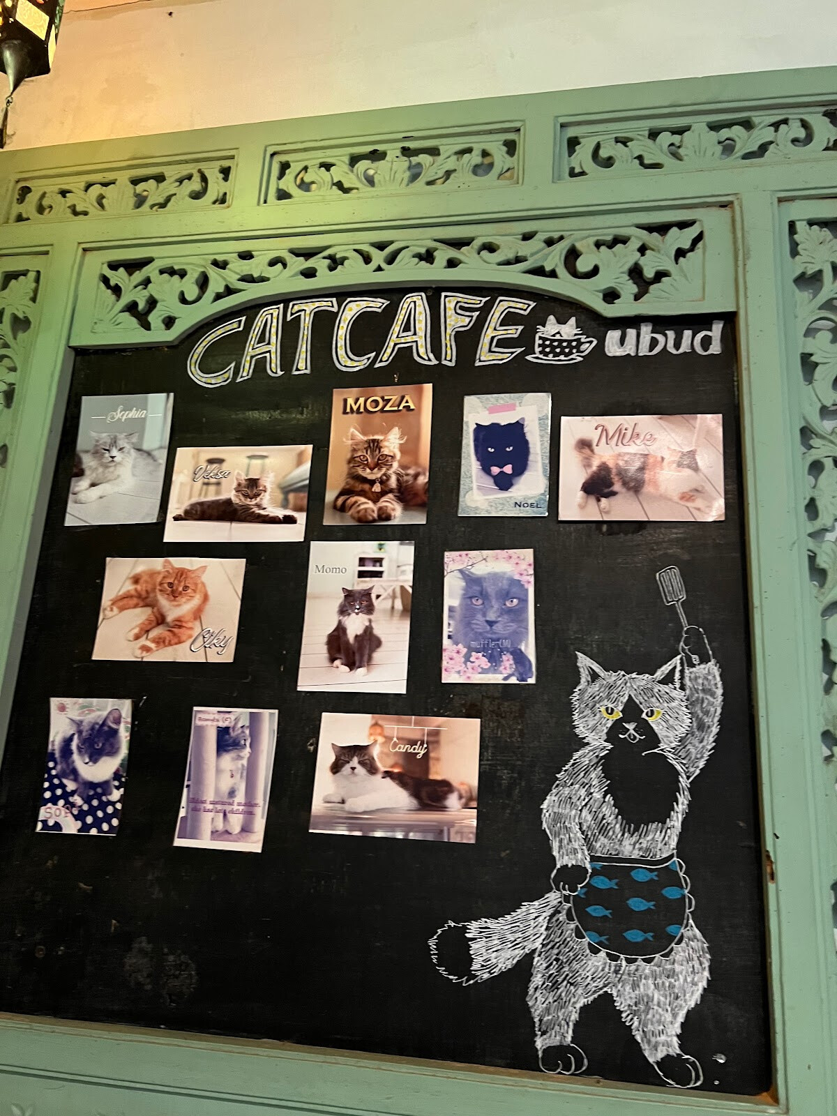 Cat Cafe Ubud