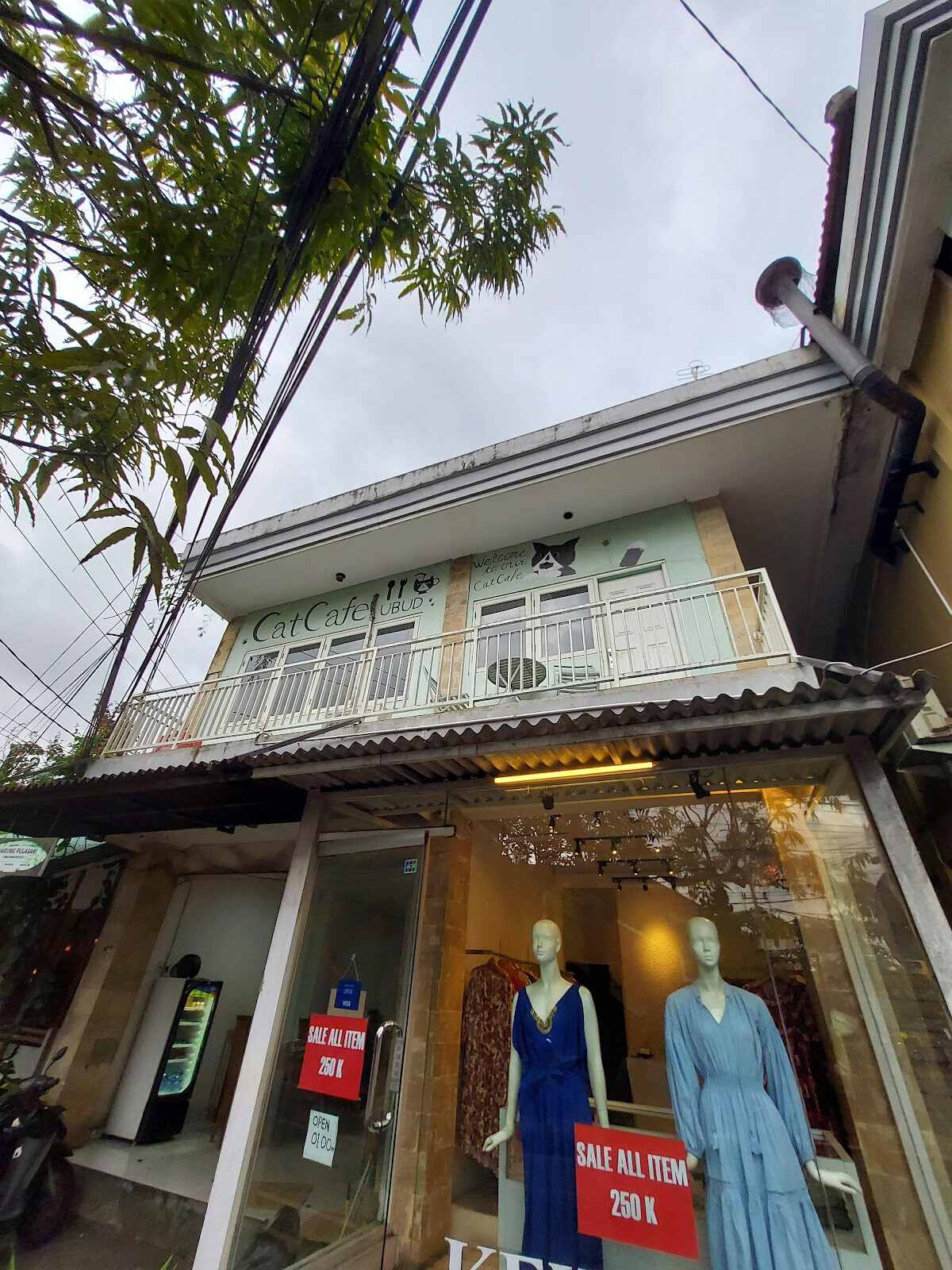Cat Cafe Ubud