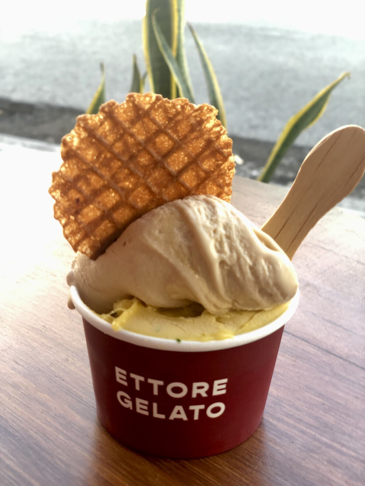 Ettore Gelato