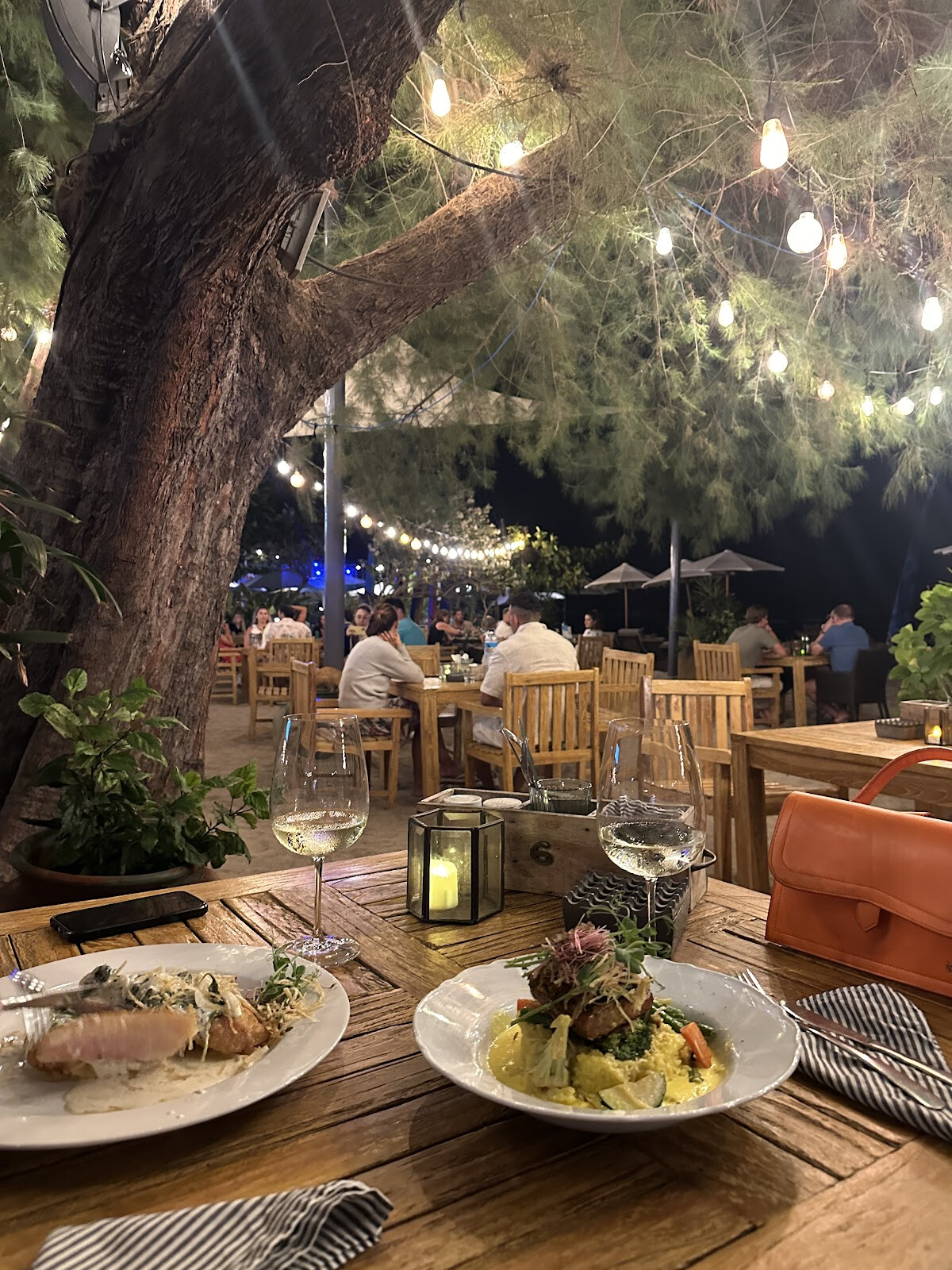 Fat Cats Bar & Restaurant